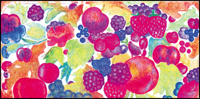 image fruits rouges pour etiquettes de vin