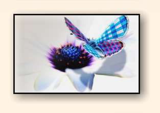 creation numerique