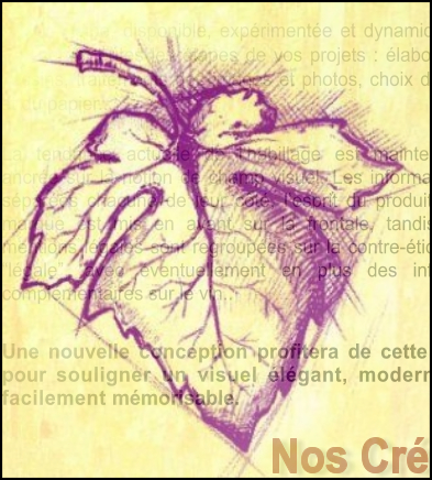 image feuille de vigne dessinee