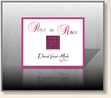 Le logo ajouré scintille en rose