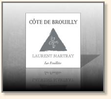 L'harmonie d'un argent à chaud sur un papier gris mat haut de gamme...
