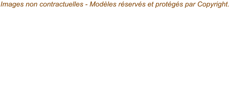 Images non contractuelles - Modèles réservés et protégés par Copyright.